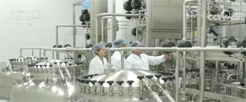 春招季亮点频现 数字技术智慧服务加速融入新兴行业，“掐尖”趋势凸显