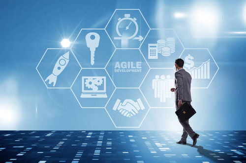 需求启发在信息技术咨询服务中的八大技术