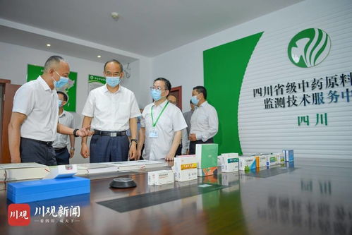 黄强 以大数据技术为基石，持续有力支撑疫情防控，推动优质中医药服务惠及全民