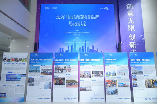 技能筑梦，品牌赋能——上海举办东西部协作劳务品牌展示活动聚焦信息技术咨询服务