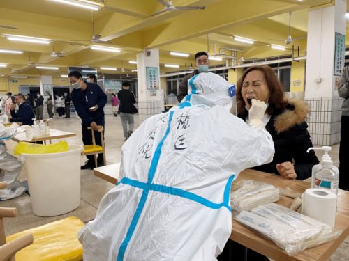 硬核服务 核酸检测送上门与信息技术咨询的深度融合